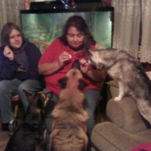 Meet your Posher, Donna